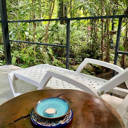 Casa Eden - Modern Peaceful Jungle Apartments Cocles Exteriör bild