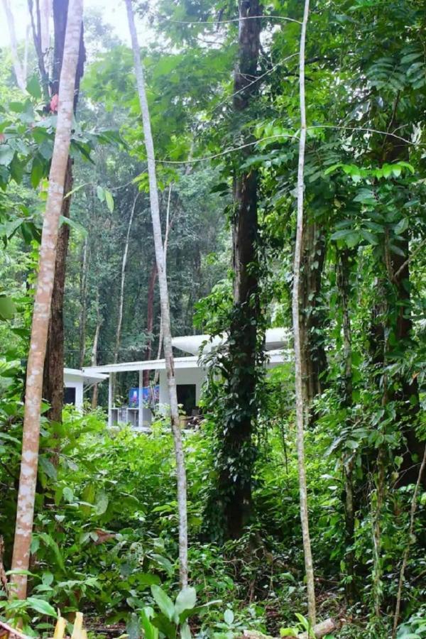 Casa Eden - Modern Peaceful Jungle Apartments Cocles Exteriör bild