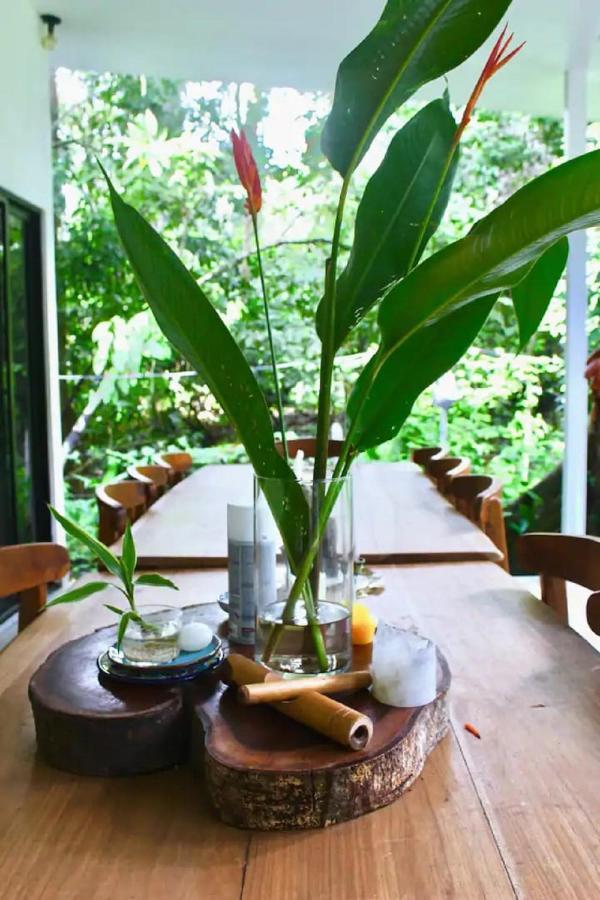 Casa Eden - Modern Peaceful Jungle Apartments Cocles Exteriör bild