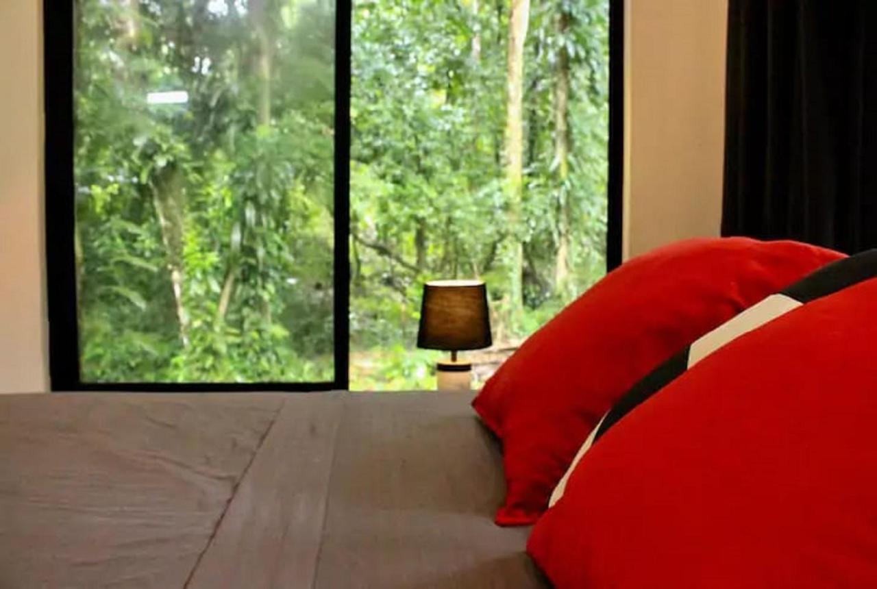 Casa Eden - Modern Peaceful Jungle Apartments Cocles Exteriör bild
