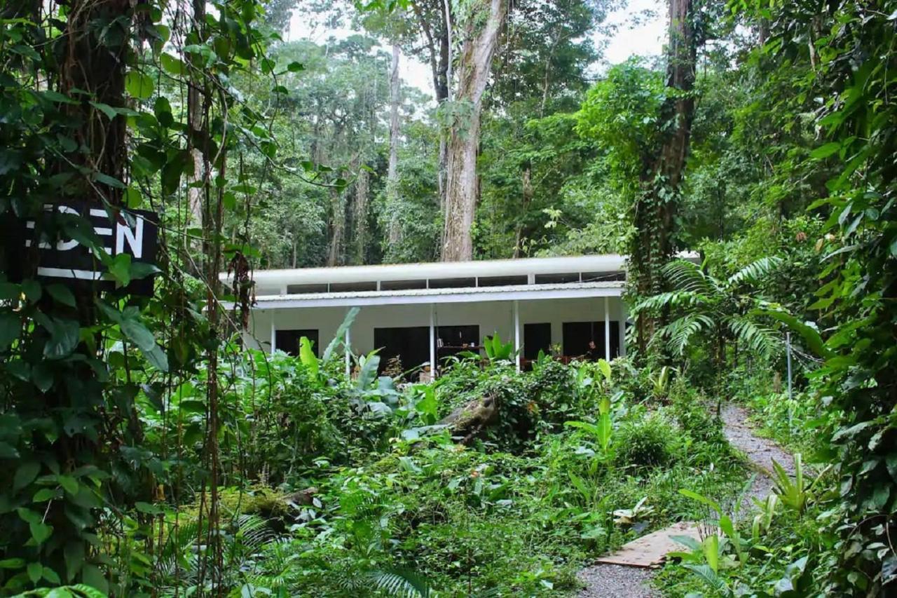 Casa Eden - Modern Peaceful Jungle Apartments Cocles Exteriör bild