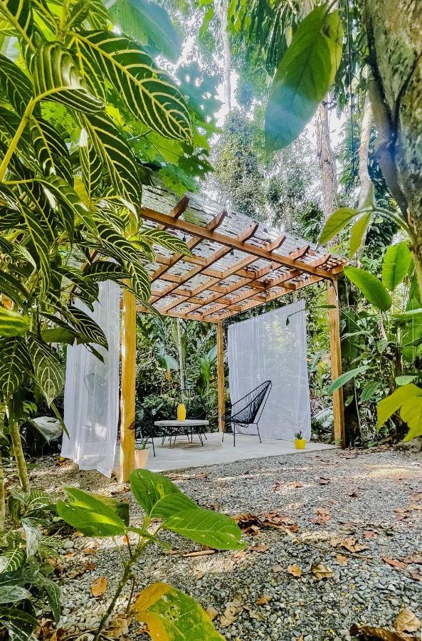 Casa Eden - Modern Peaceful Jungle Apartments Cocles Exteriör bild