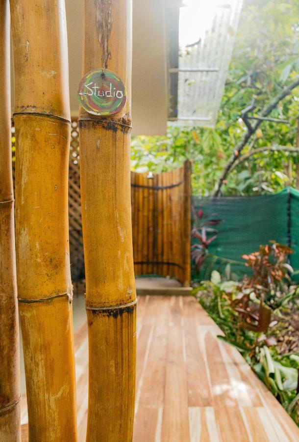 Casa Eden - Modern Peaceful Jungle Apartments Cocles Exteriör bild