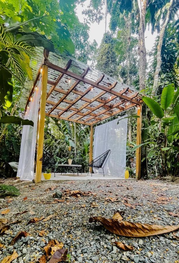 Casa Eden - Modern Peaceful Jungle Apartments Cocles Exteriör bild