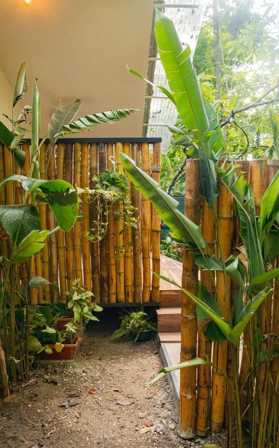 Casa Eden - Modern Peaceful Jungle Apartments Cocles Exteriör bild
