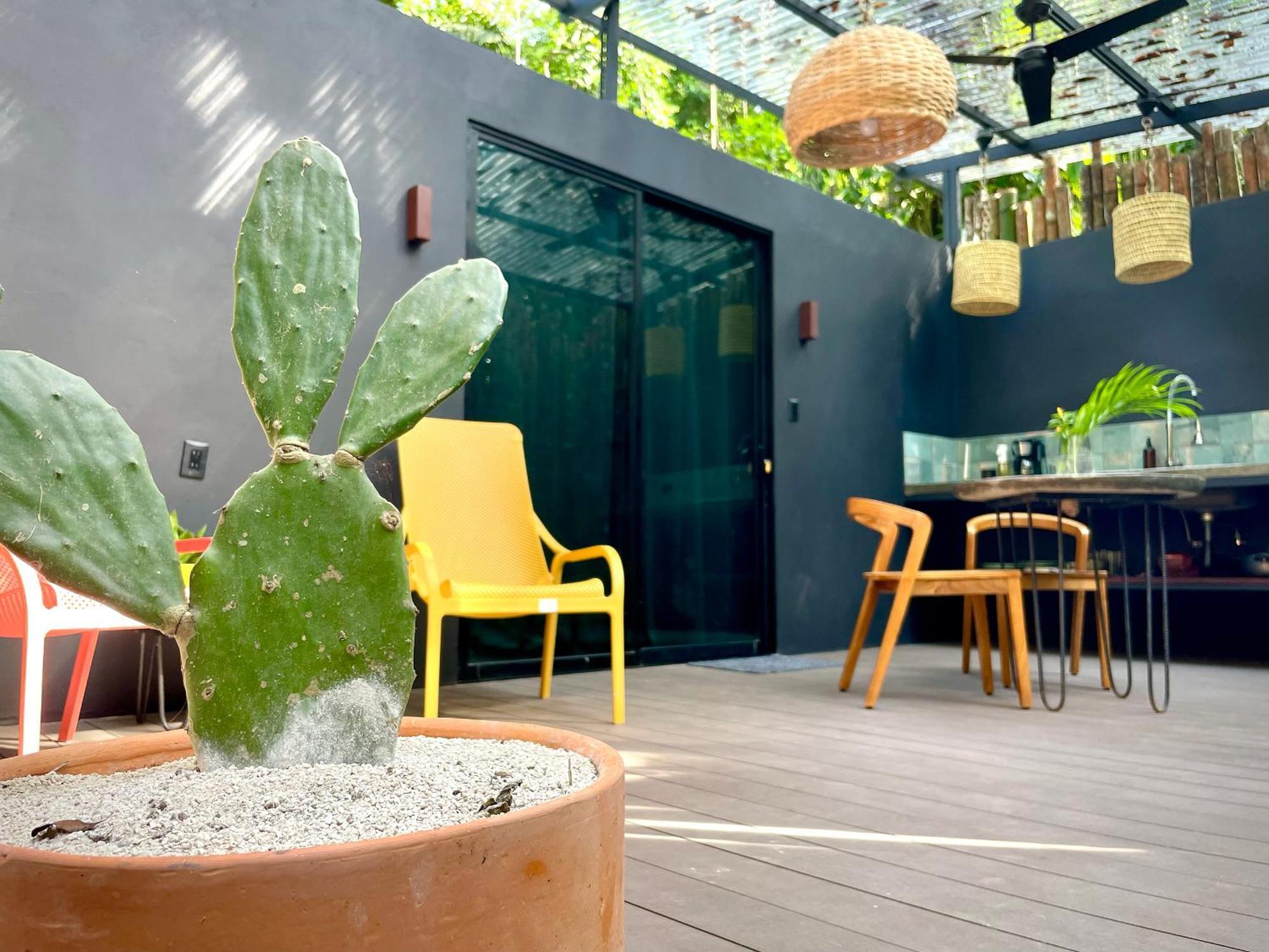 Casa Eden - Modern Peaceful Jungle Apartments Cocles Exteriör bild