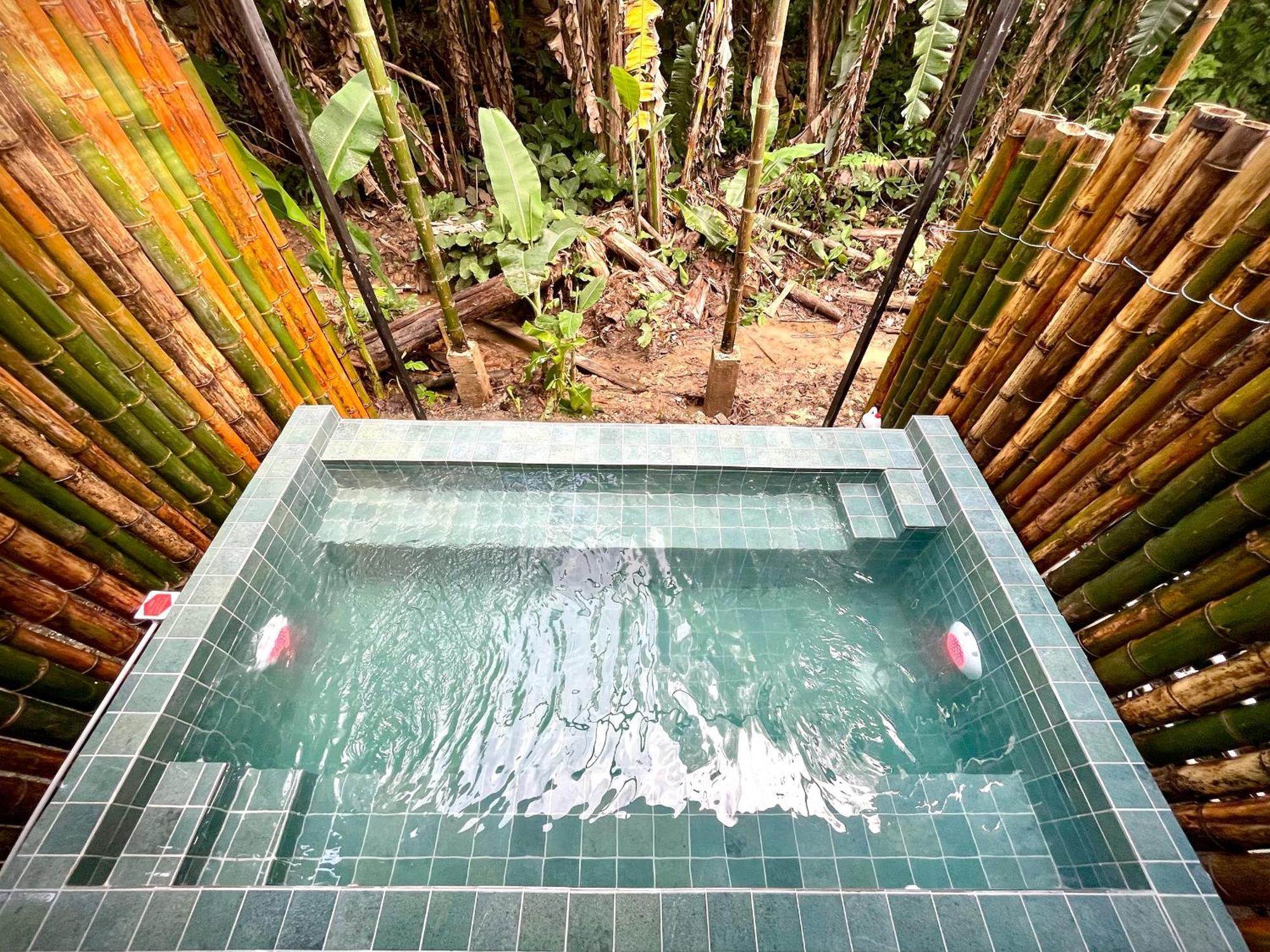 Casa Eden - Modern Peaceful Jungle Apartments Cocles Rum bild
