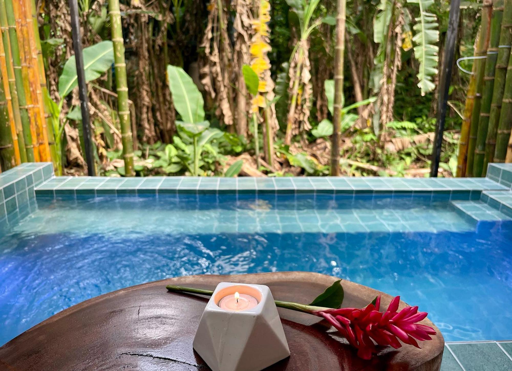 Casa Eden - Modern Peaceful Jungle Apartments Cocles Rum bild